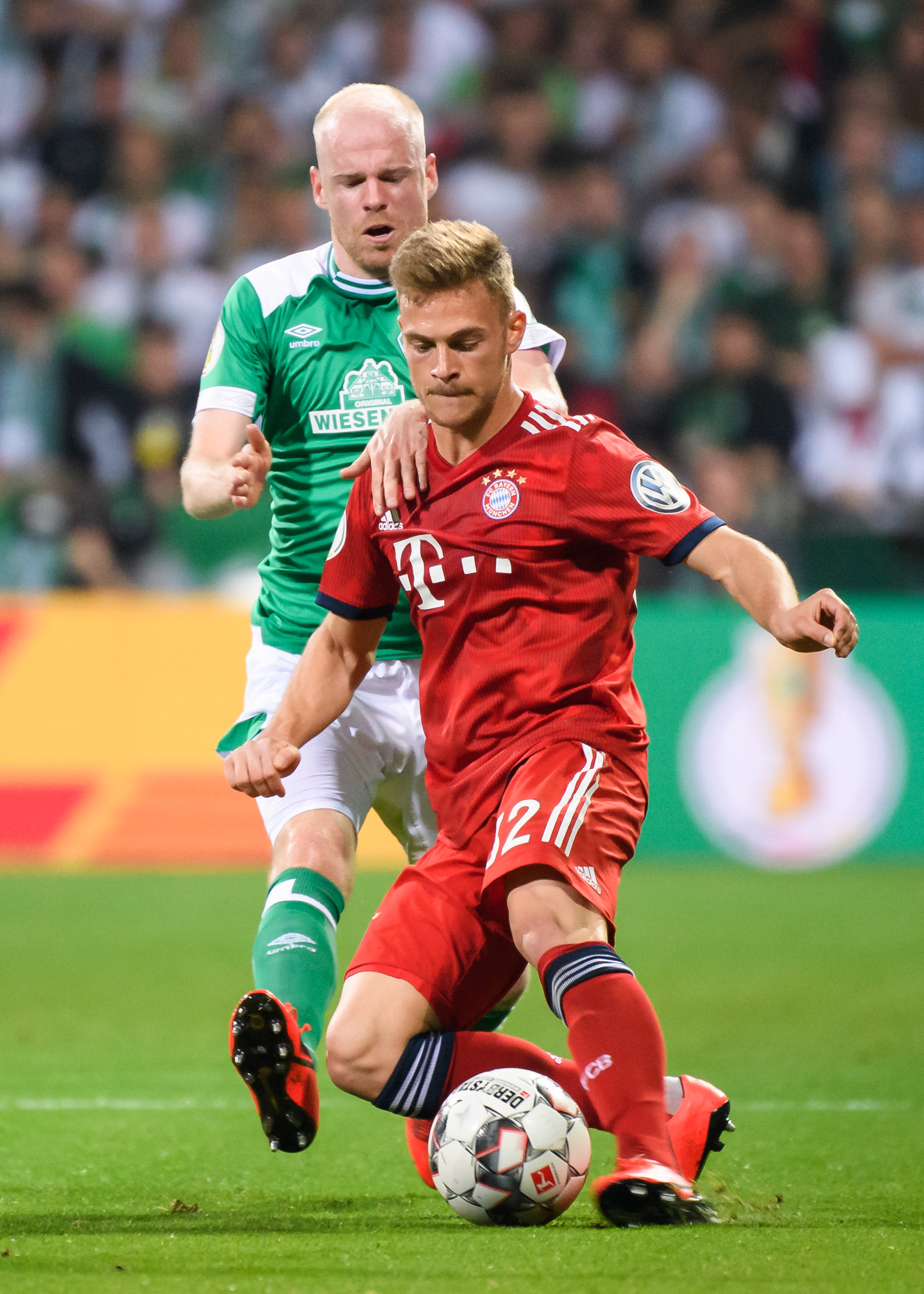 法布里奇奥 法布里奇奥